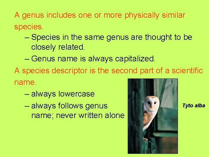 A genus includes one or more physically similar species. – Species in the same