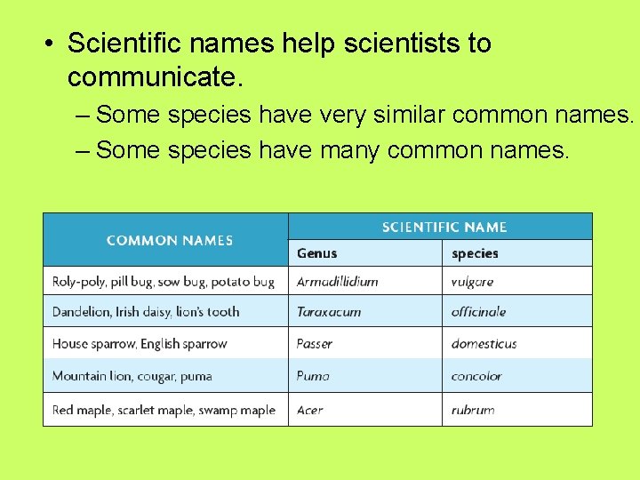  • Scientific names help scientists to communicate. – Some species have very similar