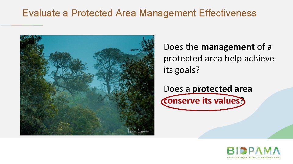 Evaluate a Protected Area Management Effectiveness Does the management of a protected area help