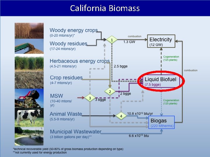 California Biomass 
