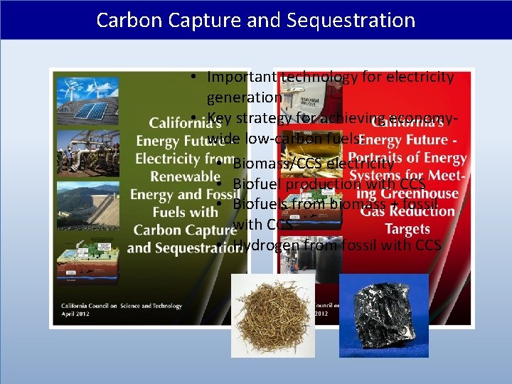 Carbon Capture and Sequestration • Important technology for electricity generation • Key strategy for