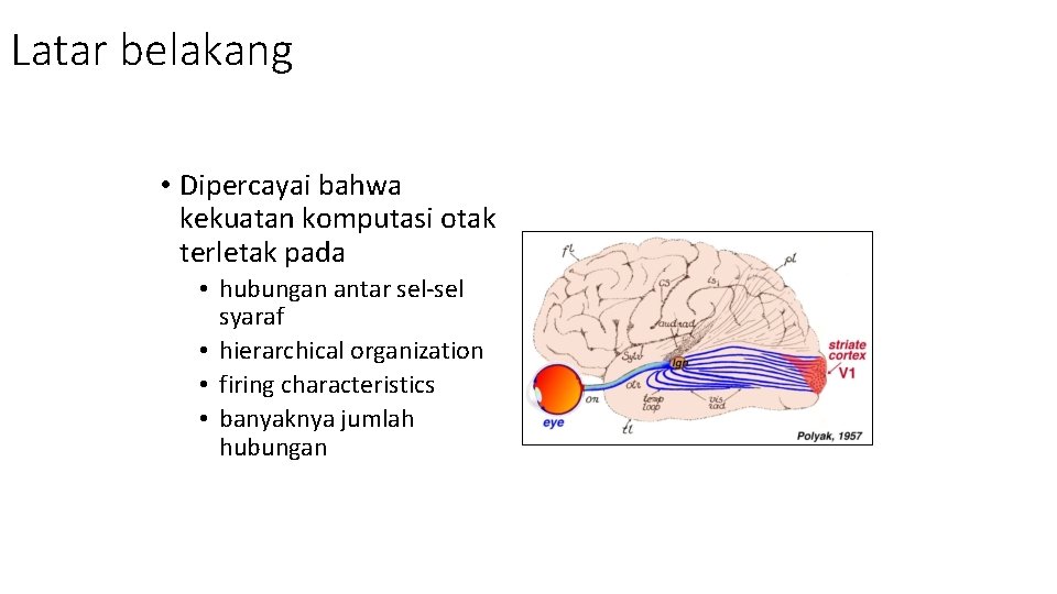 Latar belakang • Dipercayai bahwa kekuatan komputasi otak terletak pada • hubungan antar sel-sel