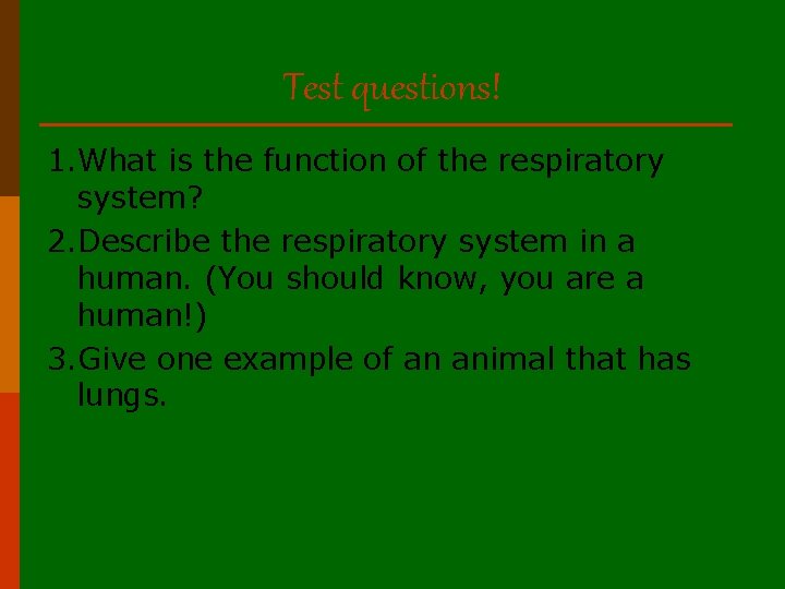 Test questions! 1. What is the function of the respiratory system? 2. Describe the
