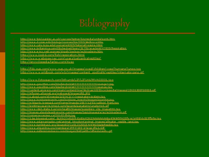 Bibliography p p p http: //www-biol. paisley. ac. uk/courses/tatner/biomedia/units/pori 6. htm http: //www. d.