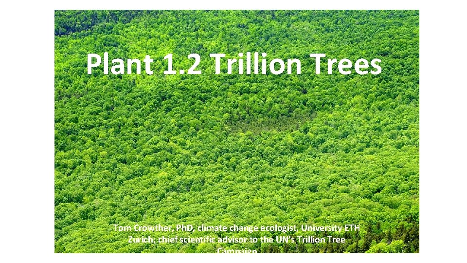 Plant 1. 2 Trillion Trees Tom Crowther, Ph. D, climate change ecologist, University ETH
