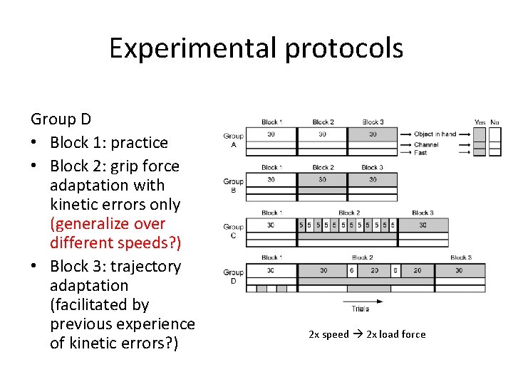 Experimental protocols Group D • Block 1: practice • Block 2: grip force adaptation