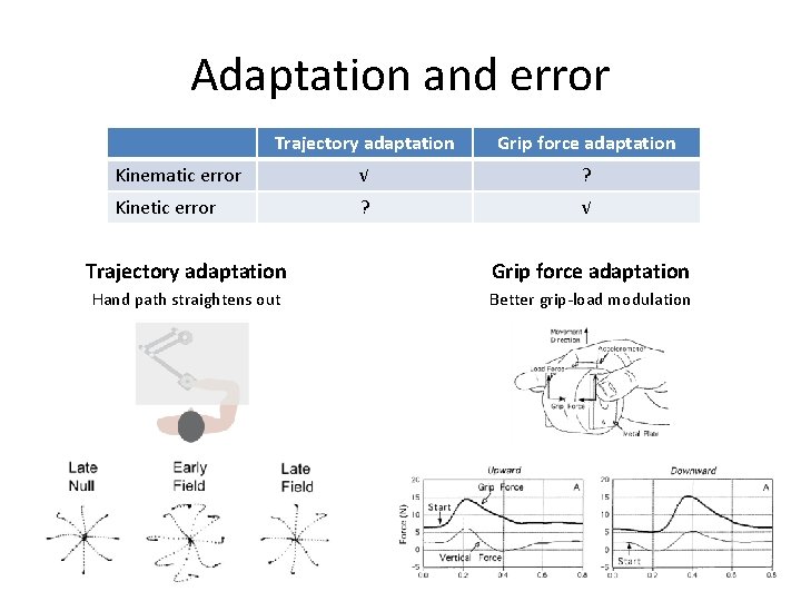 Adaptation and error Trajectory adaptation Grip force adaptation Kinematic error √ ? Kinetic error