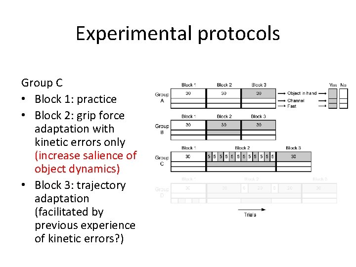 Experimental protocols Group C • Block 1: practice • Block 2: grip force adaptation