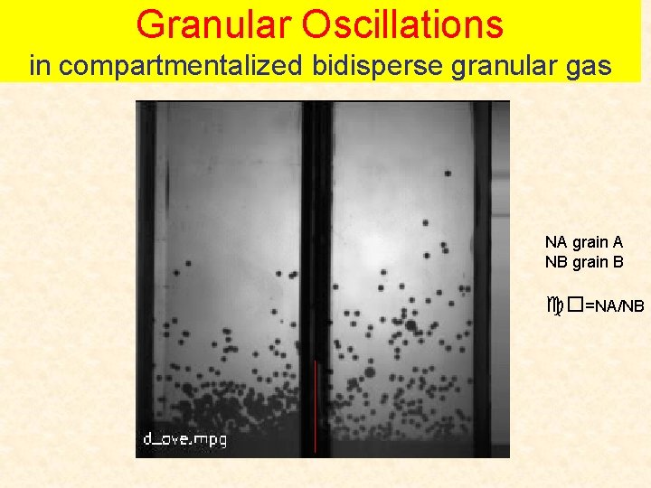 Granular Oscillations in compartmentalized bidisperse granular gas NA grain A NB grain B co=NA/NB