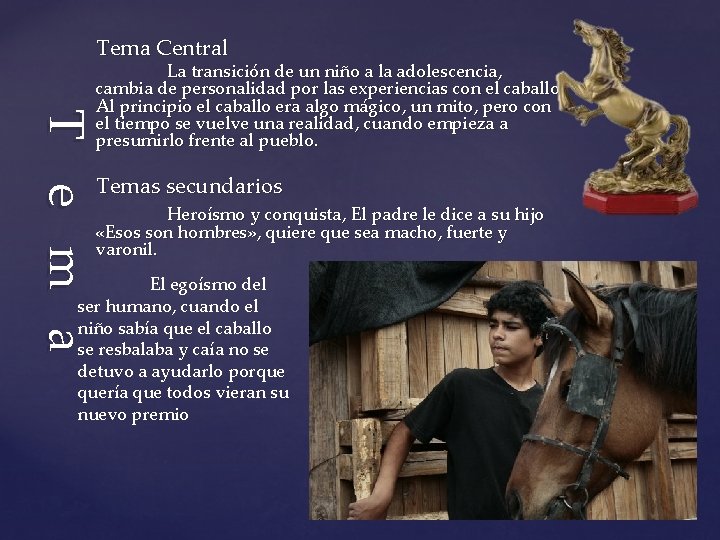 Tema Central T e m a La transición de un niño a la adolescencia,