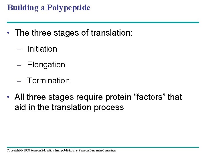 Building a Polypeptide • The three stages of translation: – Initiation – Elongation –