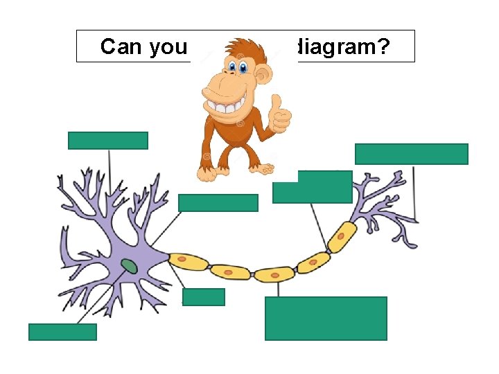 Can you label the diagram? 