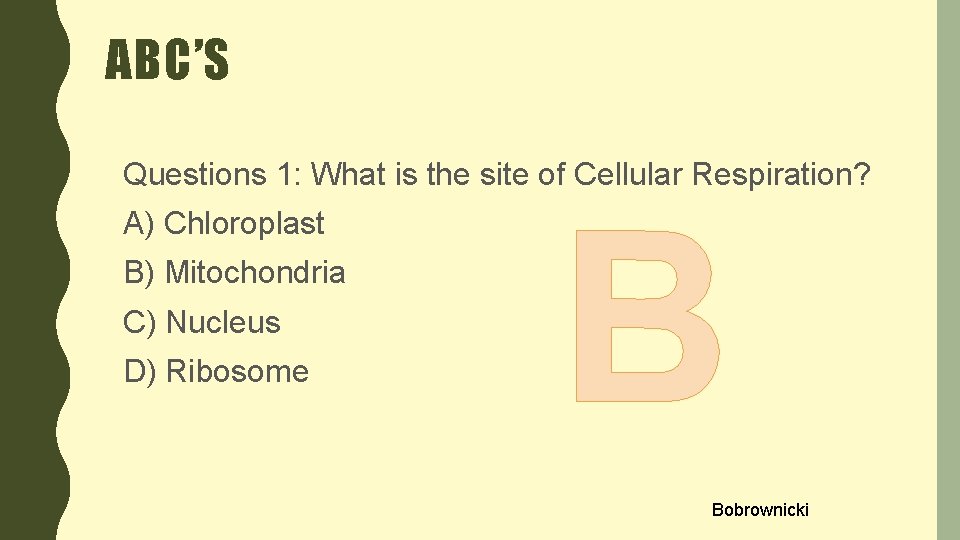 ABC’S Questions 1: What is the site of Cellular Respiration? A) Chloroplast B) Mitochondria