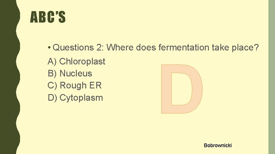 ABC’S • Questions 2: Where does fermentation take place? A) Chloroplast B) Nucleus C)