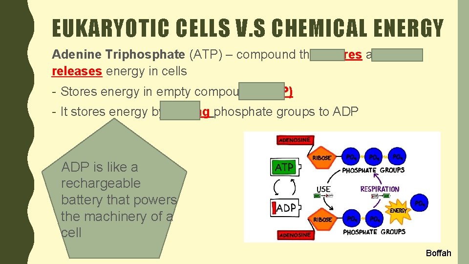 EUKARYOTIC CELLS V. S CHEMICAL ENERGY Adenine Triphosphate (ATP) – compound that stores and