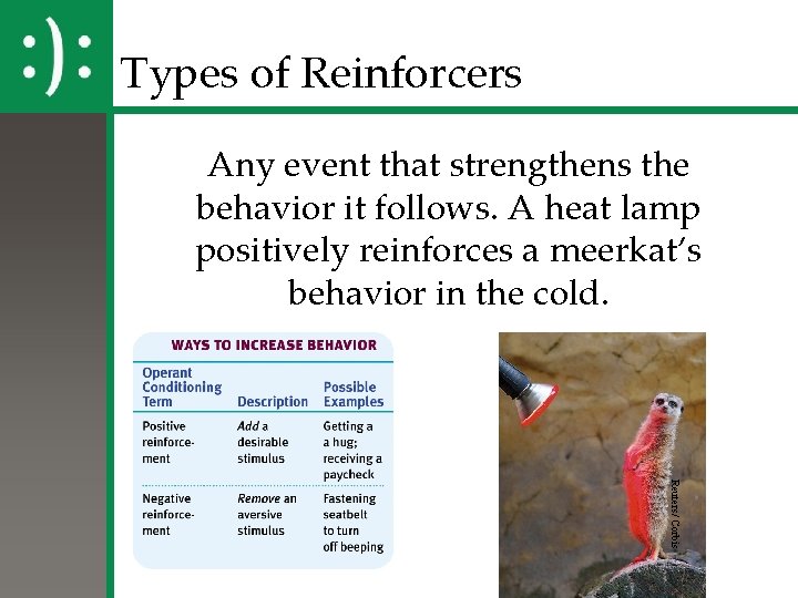 Types of Reinforcers Any event that strengthens the behavior it follows. A heat lamp