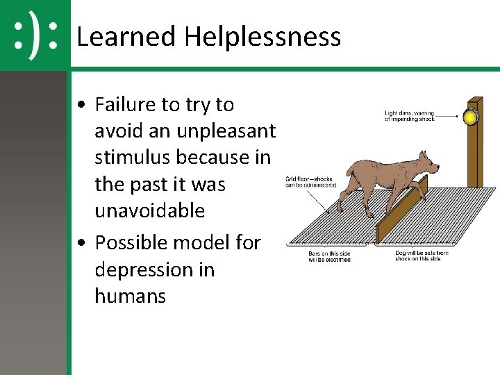 Learned Helplessness • Failure to try to avoid an unpleasant stimulus because in the