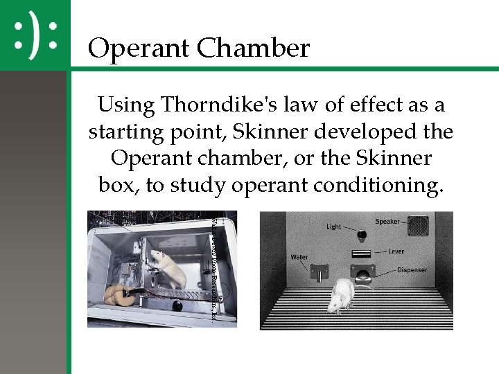 Operant Chamber Using Thorndike's law of effect as a starting point, Skinner developed the