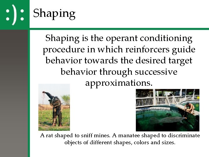 Shaping is the operant conditioning procedure in which reinforcers guide behavior towards the desired