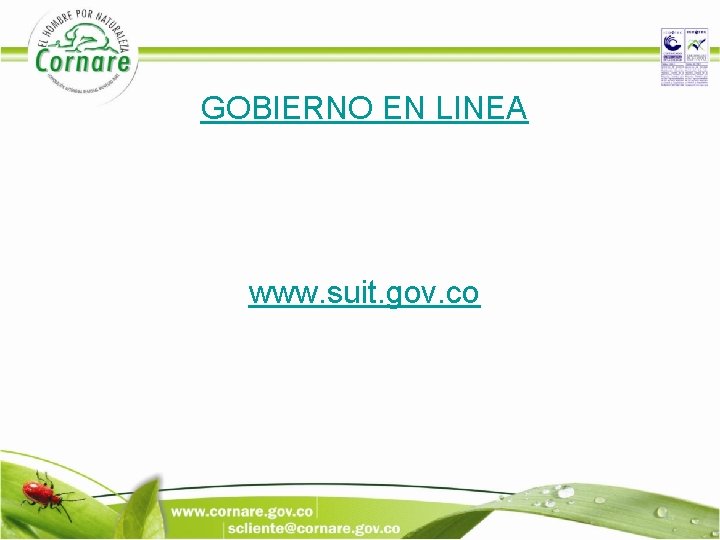 GOBIERNO EN LINEA www. suit. gov. co 