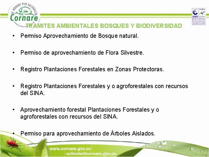 TRAMITES AMBIENTALES BOSQUES Y BIODIVERSIDAD • Permiso Aprovechamiento de Bosque natural. • Permiso de