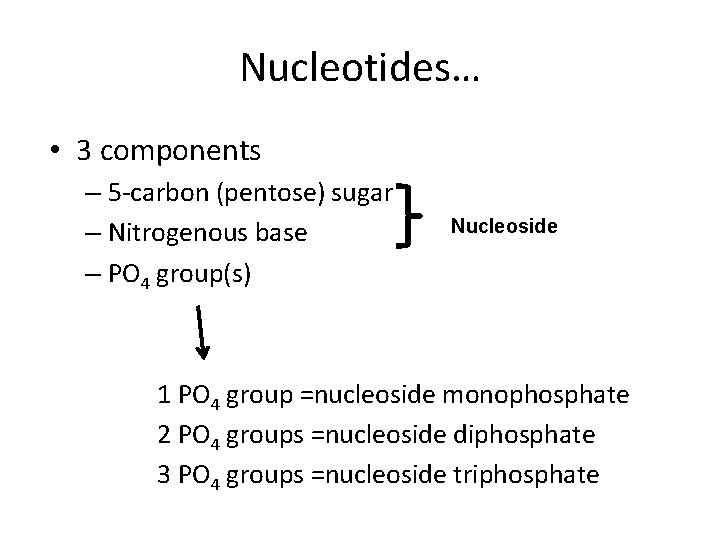 Nucleotides… • 3 components – 5 -carbon (pentose) sugar – Nitrogenous base – PO