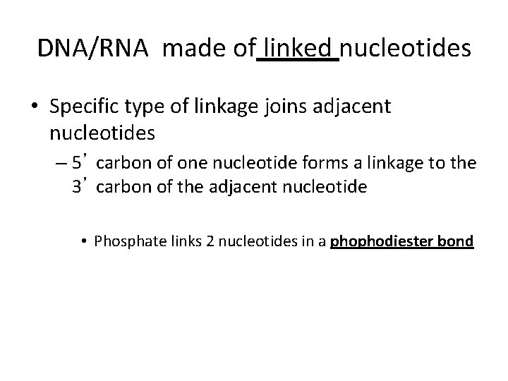 DNA/RNA made of linked nucleotides • Specific type of linkage joins adjacent nucleotides –