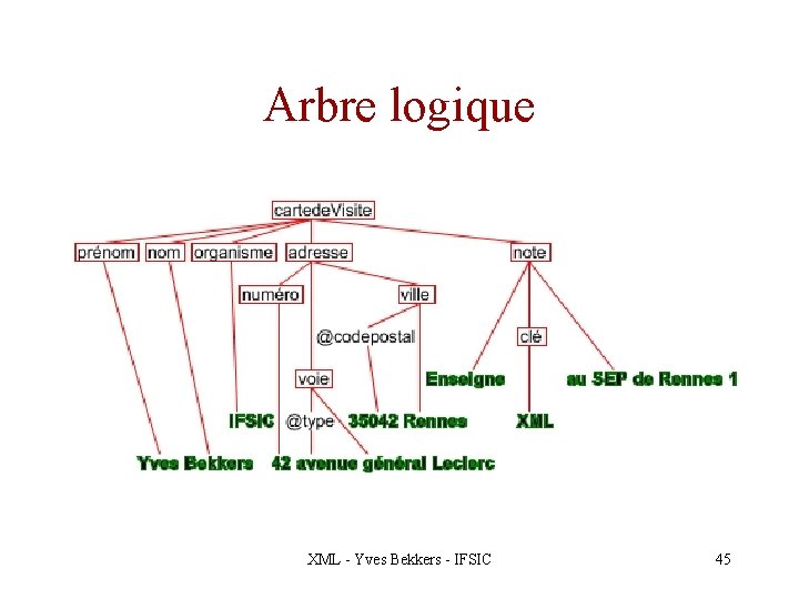 Arbre logique XML - Yves Bekkers - IFSIC 45 
