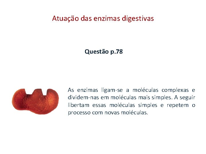 Atuação das enzimas digestivas Questão p. 78 As enzimas ligam-se a moléculas complexas e