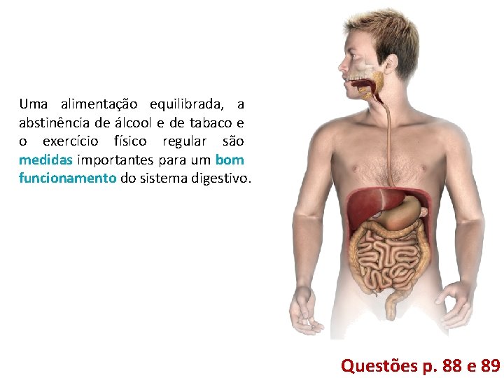Uma alimentação equilibrada, a abstinência de álcool e de tabaco e o exercício físico