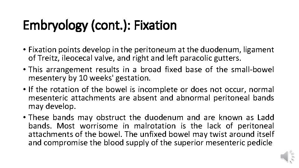 Embryology (cont. ): Fixation • Fixation points develop in the peritoneum at the duodenum,