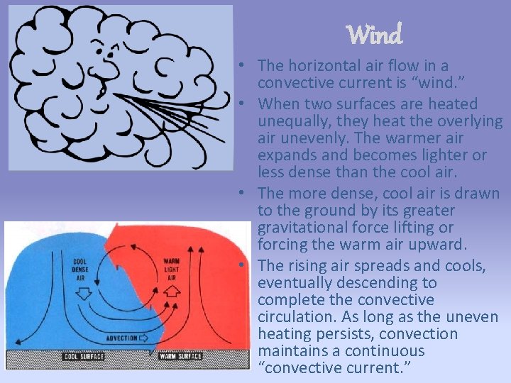 Wind • The horizontal air flow in a convective current is “wind. ” •