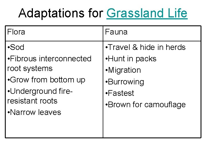 Adaptations for Grassland Life Flora Fauna • Sod • Fibrous interconnected root systems •