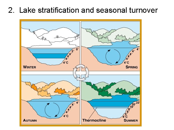2. Lake stratification and seasonal turnover 