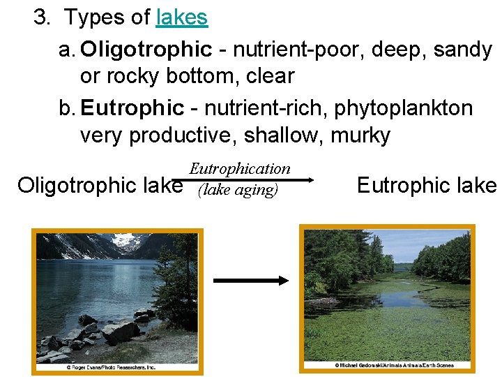 3. Types of lakes a. Oligotrophic - nutrient-poor, deep, sandy or rocky bottom, clear
