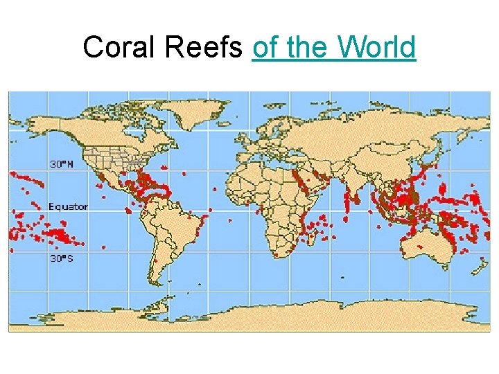 Coral Reefs of the World 