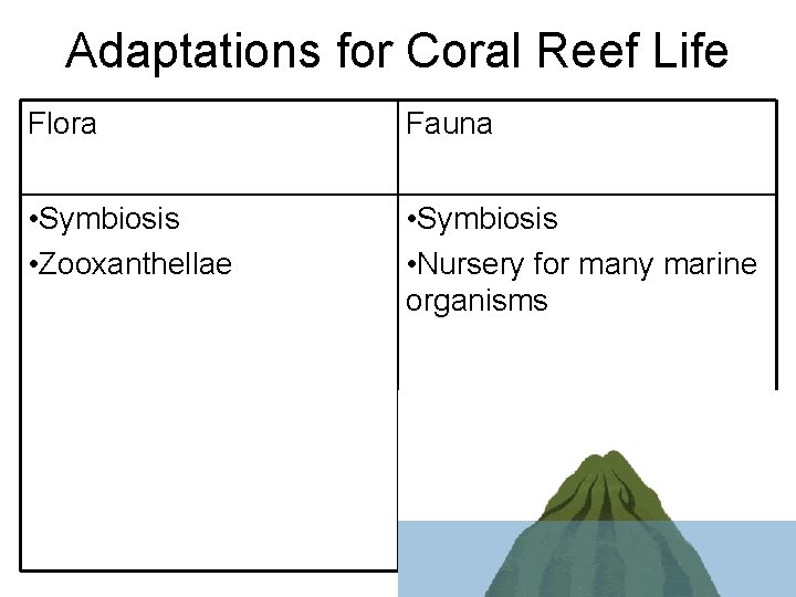 Adaptations for Coral Reef Life Flora Fauna • Symbiosis • Zooxanthellae • Symbiosis •