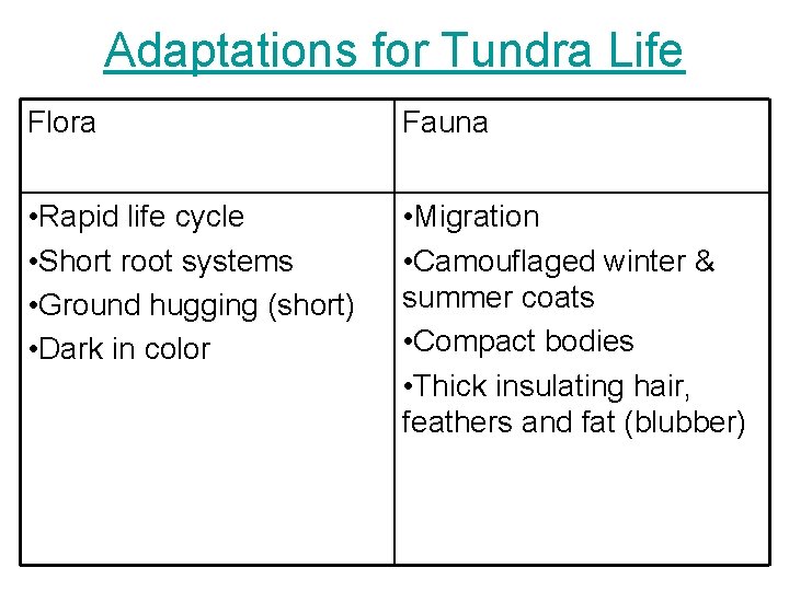 Adaptations for Tundra Life Flora Fauna • Rapid life cycle • Short root systems