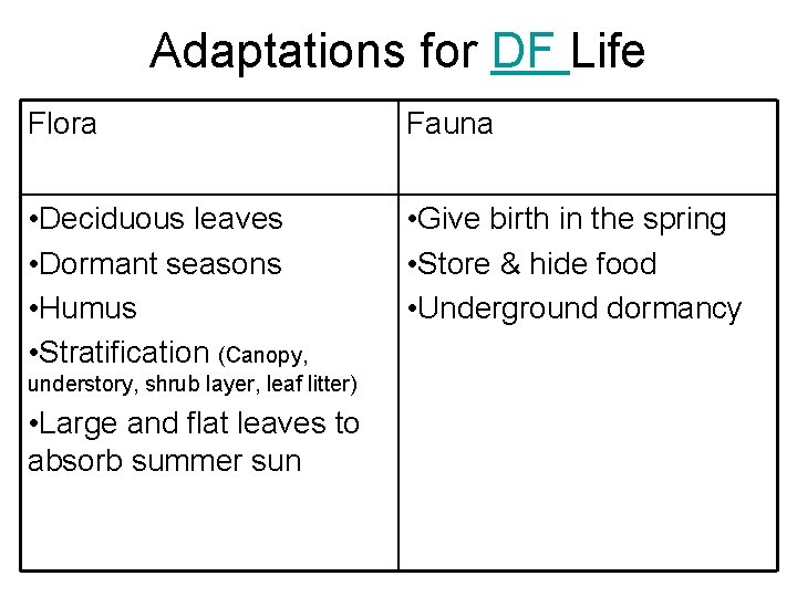 Adaptations for DF Life Flora Fauna • Deciduous leaves • Dormant seasons • Humus