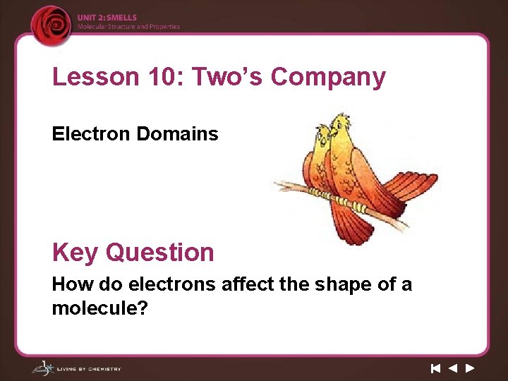 Lesson 10: Two’s Company Electron Domains Key Question How do electrons affect the shape