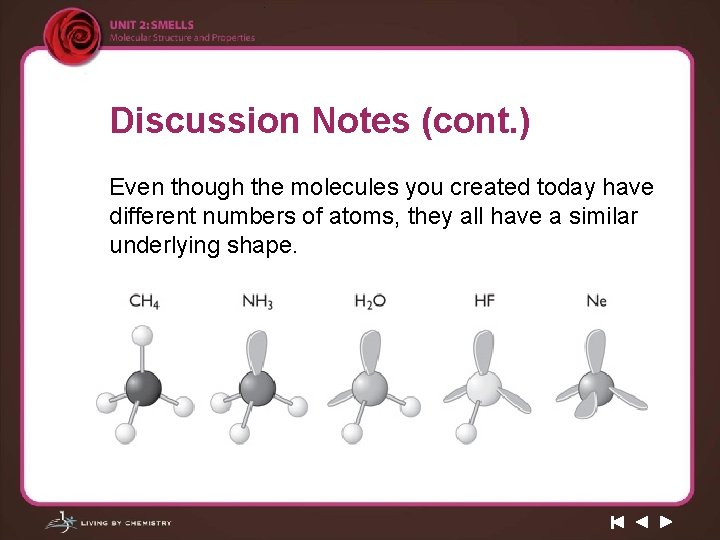 Discussion Notes (cont. ) Even though the molecules you created today have different numbers