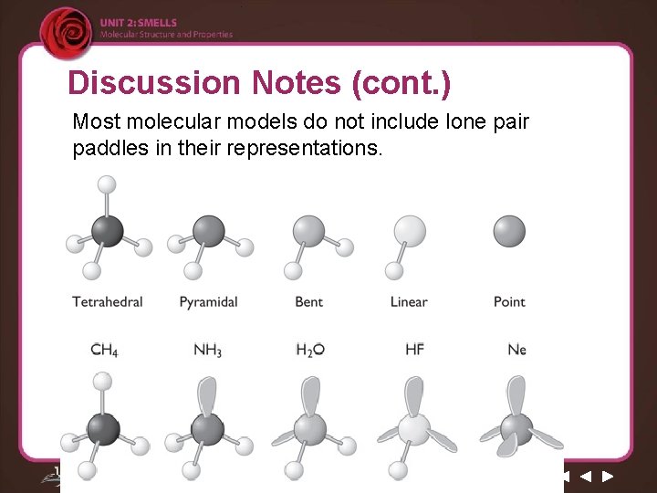 Discussion Notes (cont. ) Most molecular models do not include lone pair paddles in