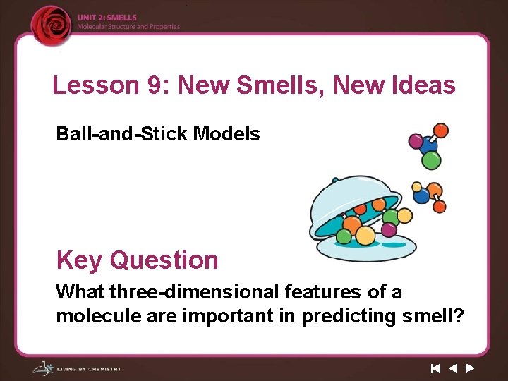 Lesson 9: New Smells, New Ideas Ball-and-Stick Models Key Question What three-dimensional features of