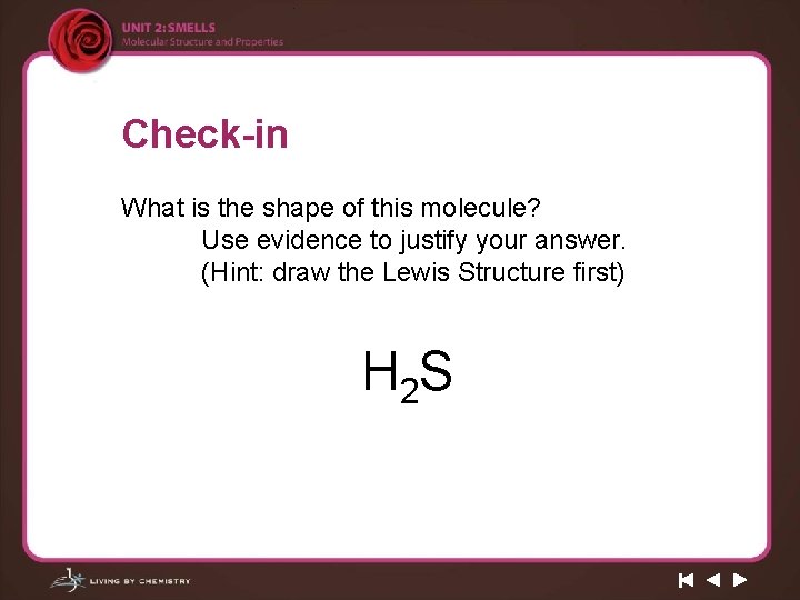 Check-in What is the shape of this molecule? Use evidence to justify your answer.