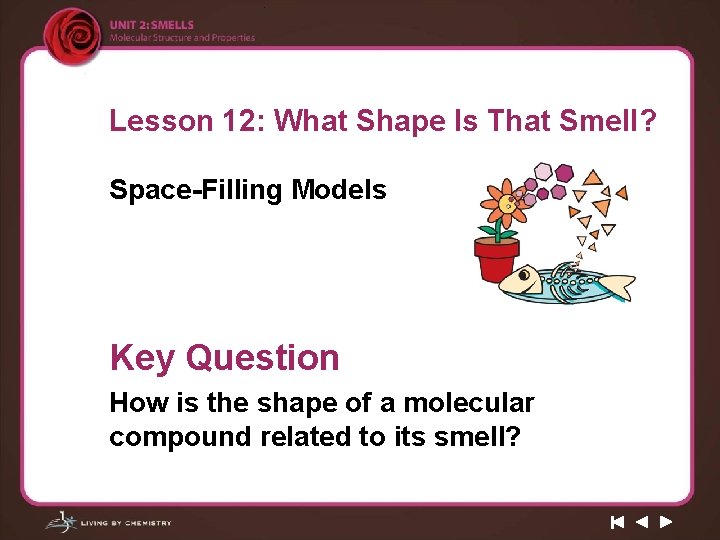 Lesson 12: What Shape Is That Smell? Space-Filling Models Key Question How is the