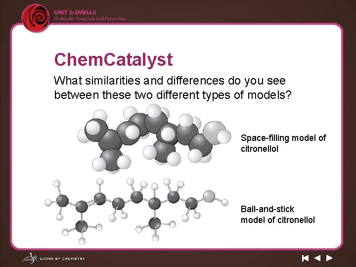 Chem. Catalyst What similarities and differences do you see between these two different types