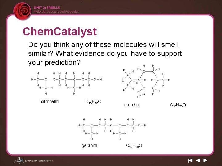 Chem. Catalyst Do you think any of these molecules will smell similar? What evidence