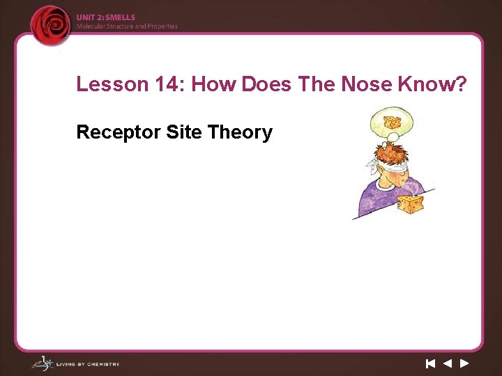 Lesson 14: How Does The Nose Know? Receptor Site Theory 