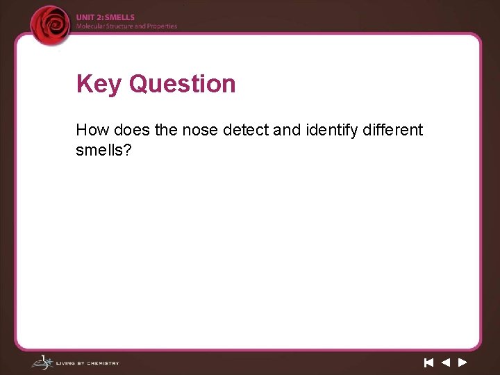 Key Question How does the nose detect and identify different smells? 