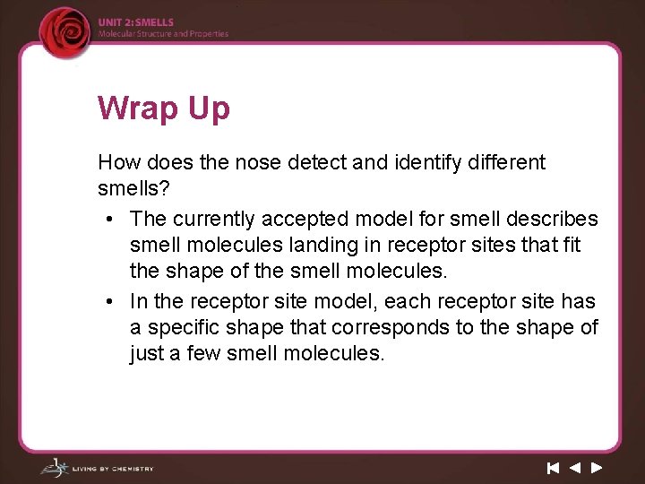 Wrap Up How does the nose detect and identify different smells? • The currently